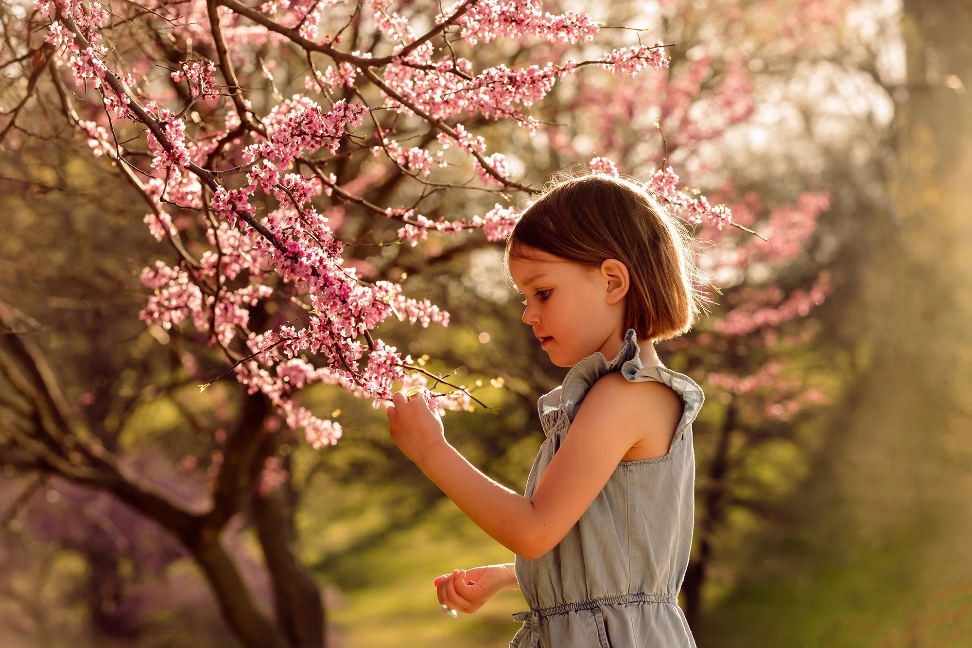 Spring Children's Photos | University of Kansas | Lawrence, KS Photographer