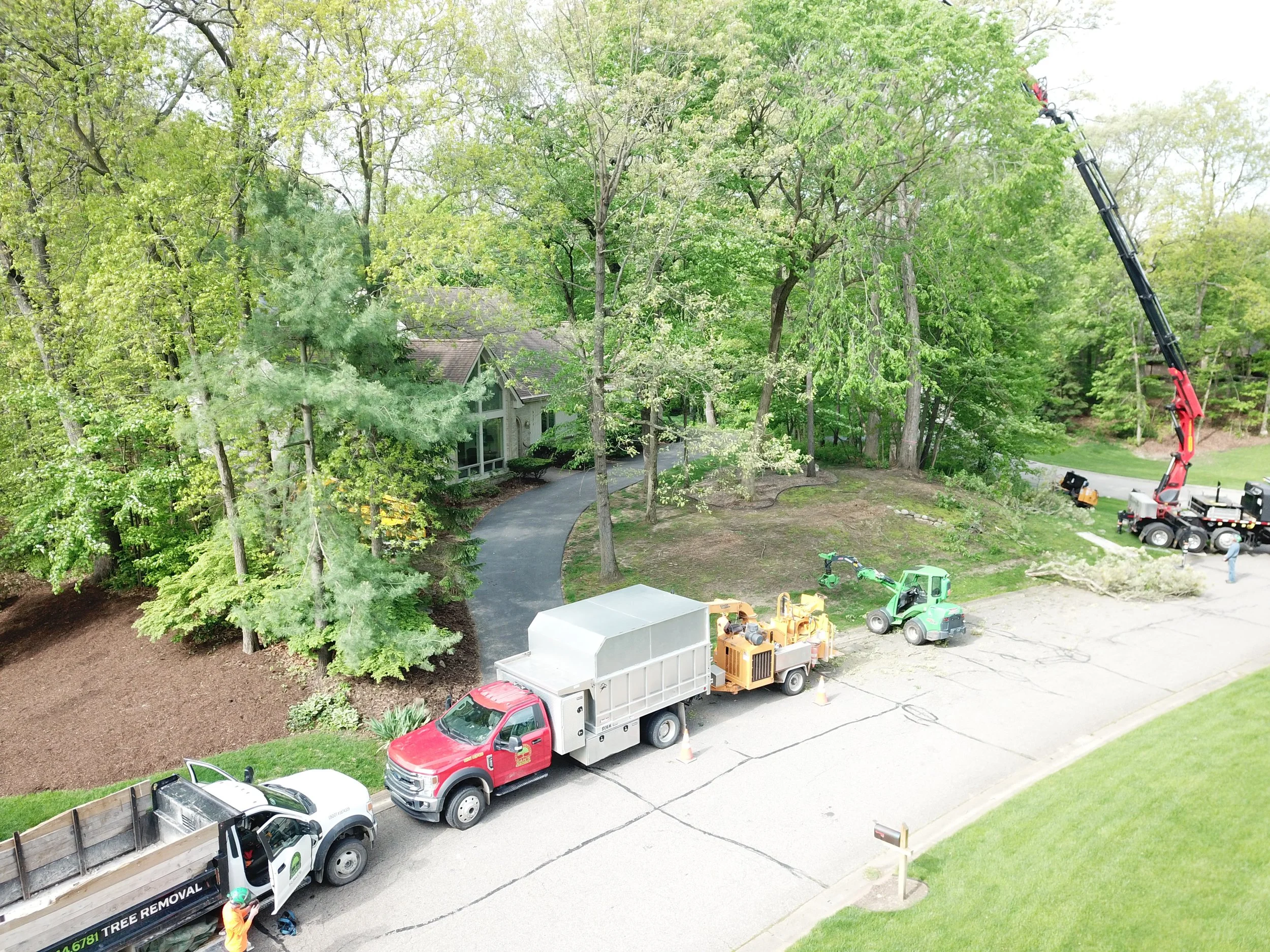 Professional Tree Service in Livingston County