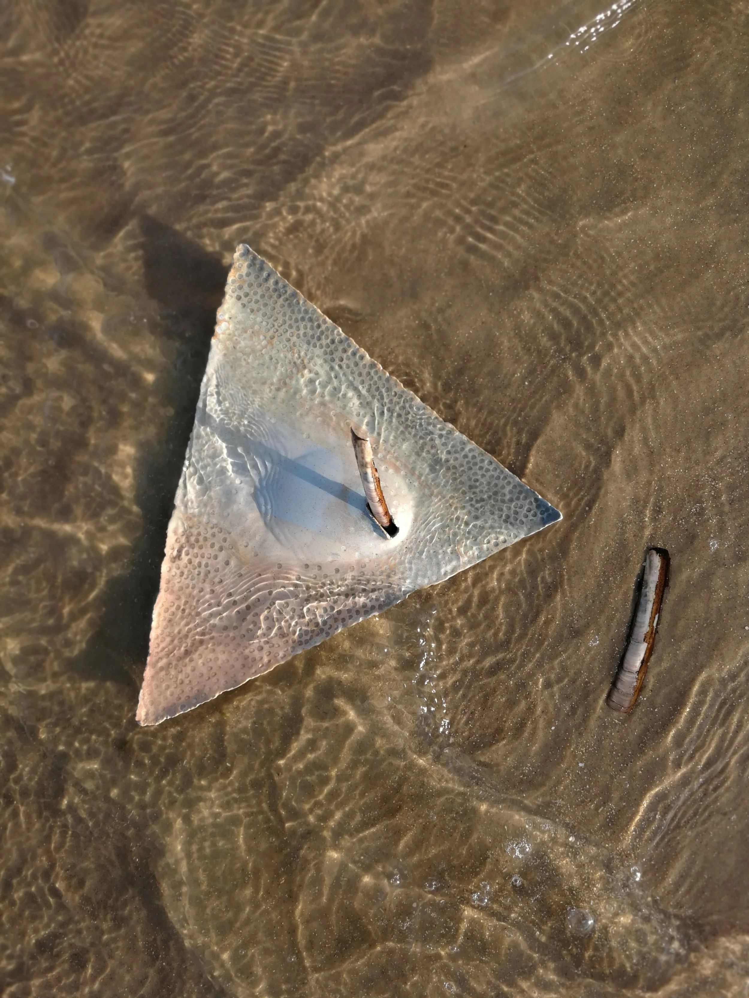 A starfish and two small fish are seen in shallow water near the sandy shore.