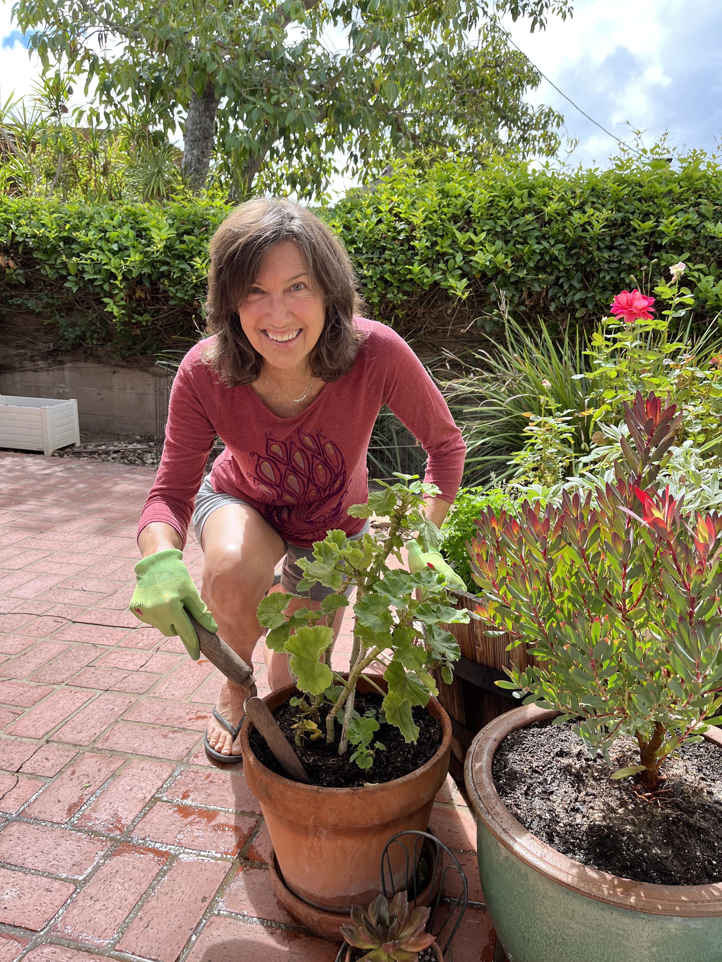 6672227f770718003ad61146_Mepotgardening.jpeg.jpg
