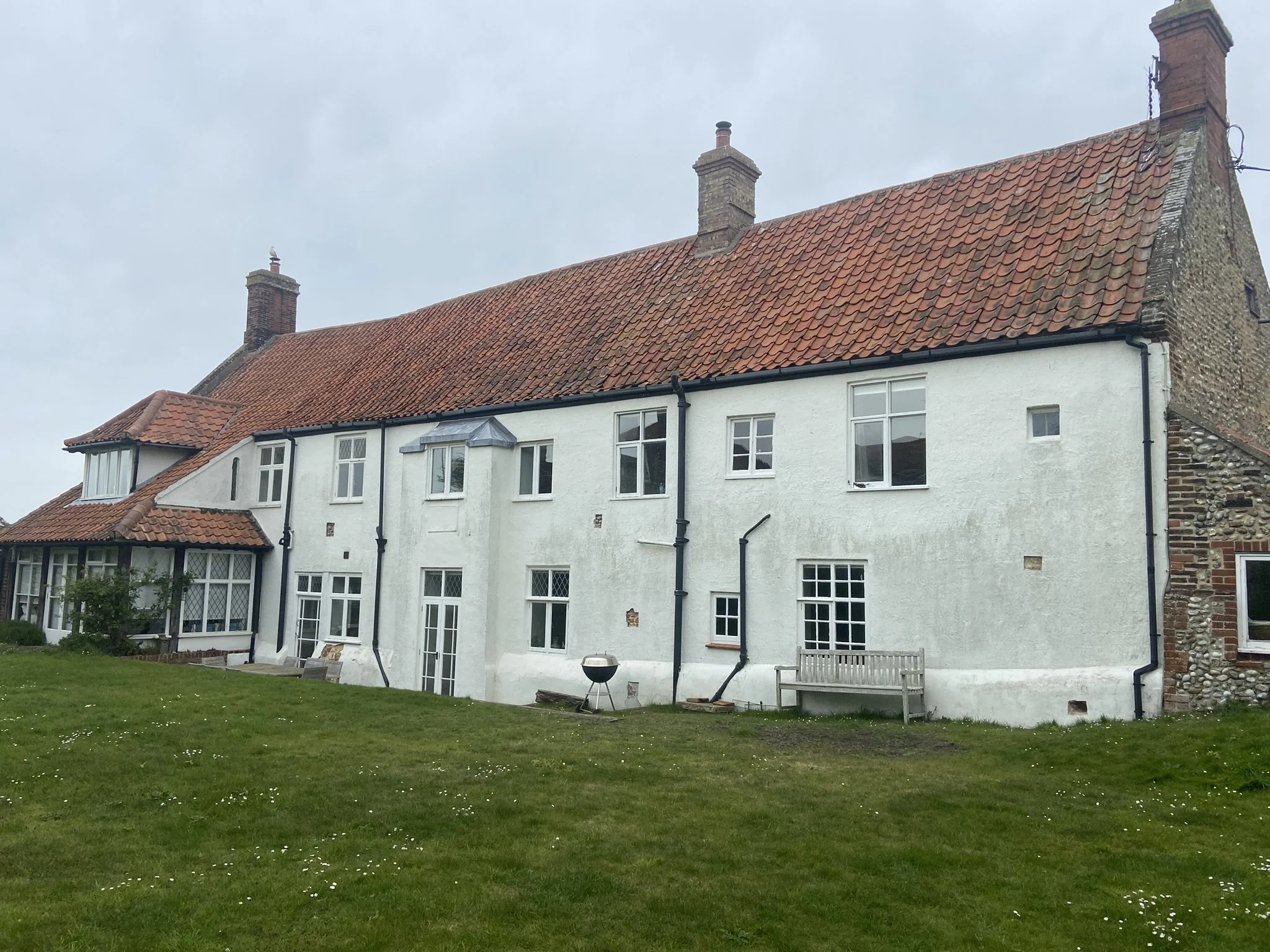 picture for banner.JPEG