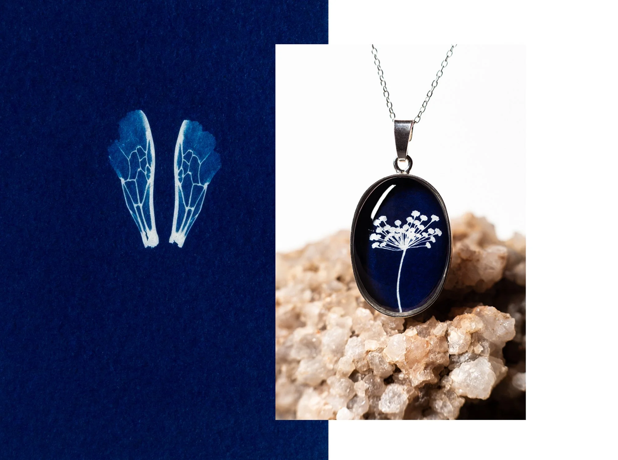 Cyanotype Hommel Venkel_1.JPG