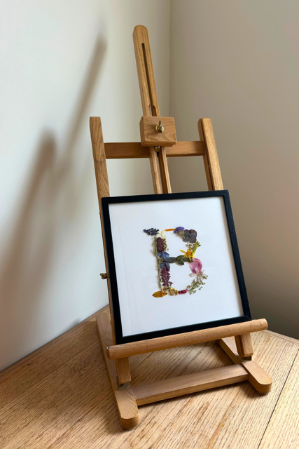 Untitled design - 1.PNG