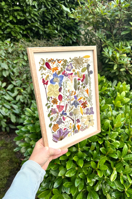 Untitled design - 7.PNG