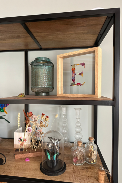 Untitled design - 9.PNG