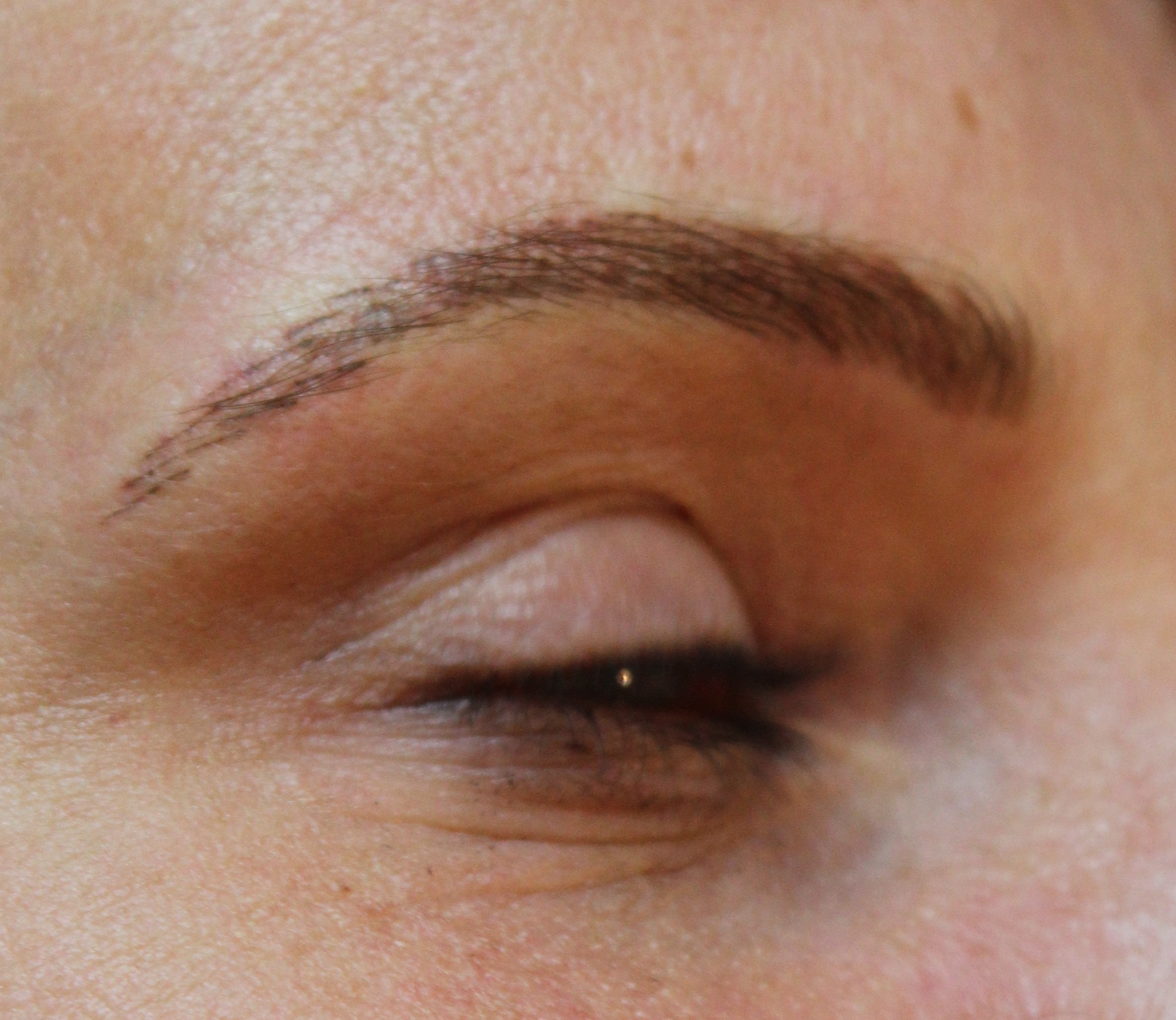 brow7.jpg
