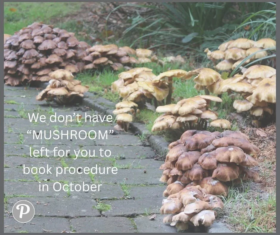 These amazing mushrooms growing in the drive at The Pennington Clinic have inspired this terrible pun....

Sorry 🫣

However, we really don&rsquo;t have many spaces in our diary left this month, so if you would like to come in for MESO skin rejuvenat