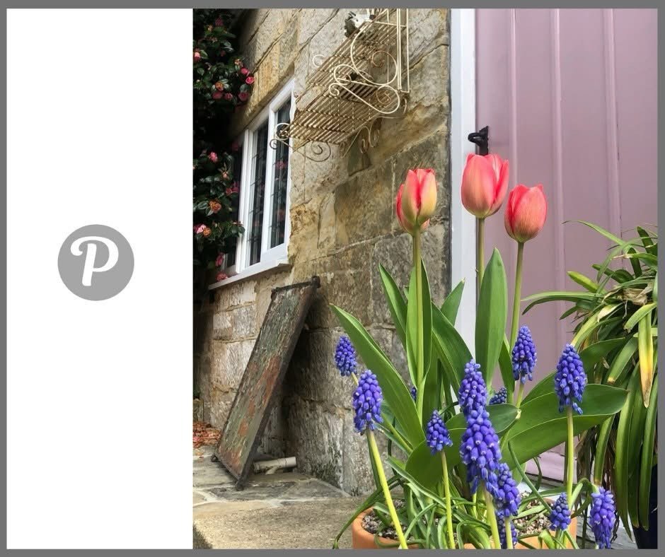 Is Spring anywhere in sight?

Emma and I love working in our cosy little clinic, but we are both looking forward to leaving the windows open and enjoying the garden at Stone Quarry House.

COME ON SPRING!!

If you want to get summer ready, get in tou
