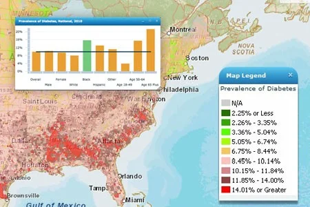 US daibetes index map.jpeg