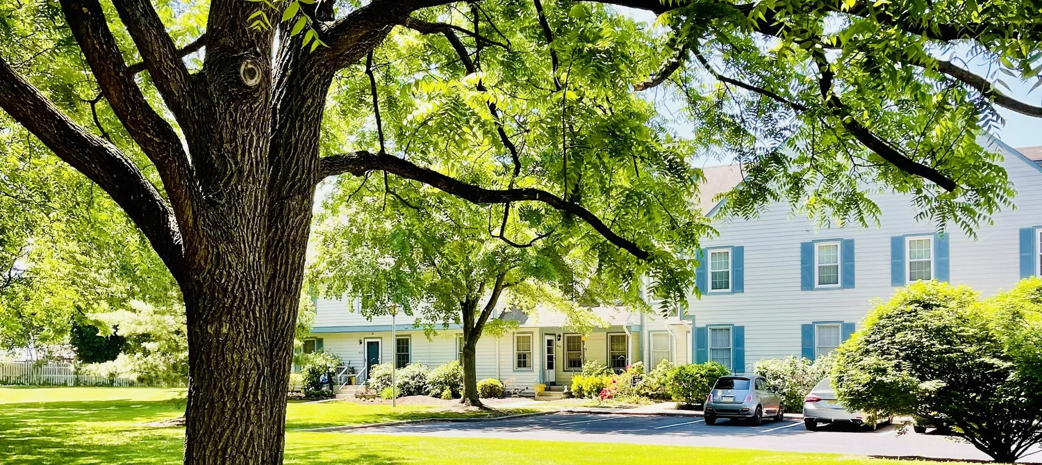 About Westfield Leas Condominium — WESTFIELD LEAS CONDOMINIUM