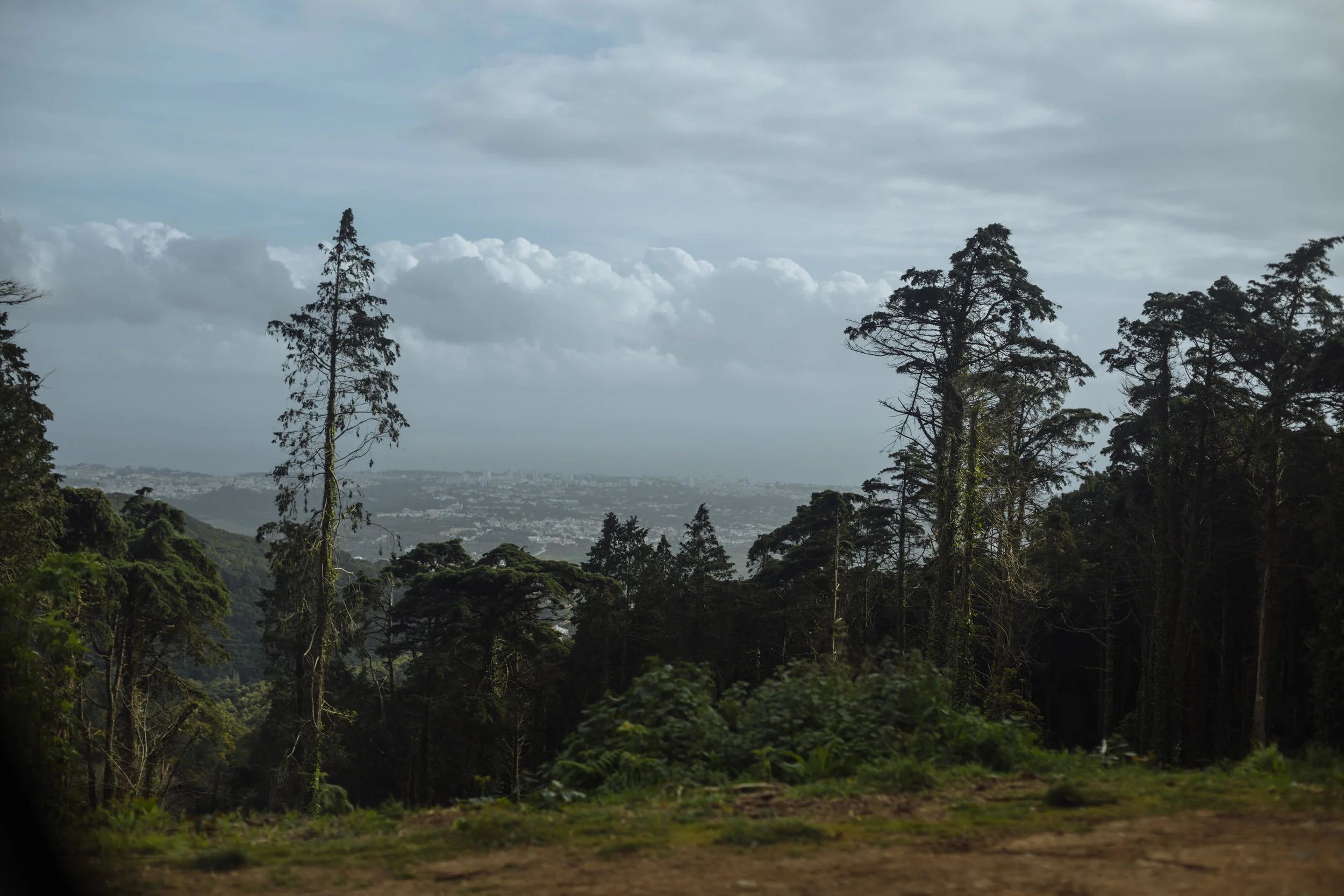 0002-5915.jpg