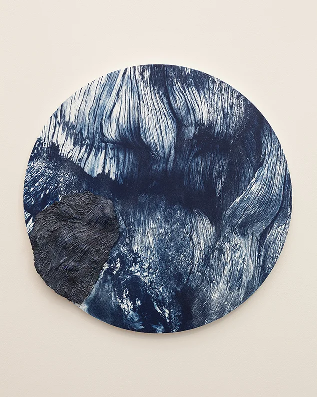  Bristlecone  Cyanotype and ceramic on wood panel  26” diameter  | 2018  The Bristlecone Pine forest in the Inyo Mountains of California hold specimens of the world's oldest trees. These trees, both living and dead, have created a tree ring chronolog