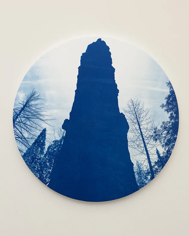 Muir’s Snag  Cyanotype mounted on wood panel   26” diameter | 2018  John Muir told of counting over 4,000 rings on this ancient Sequoia tree. 
