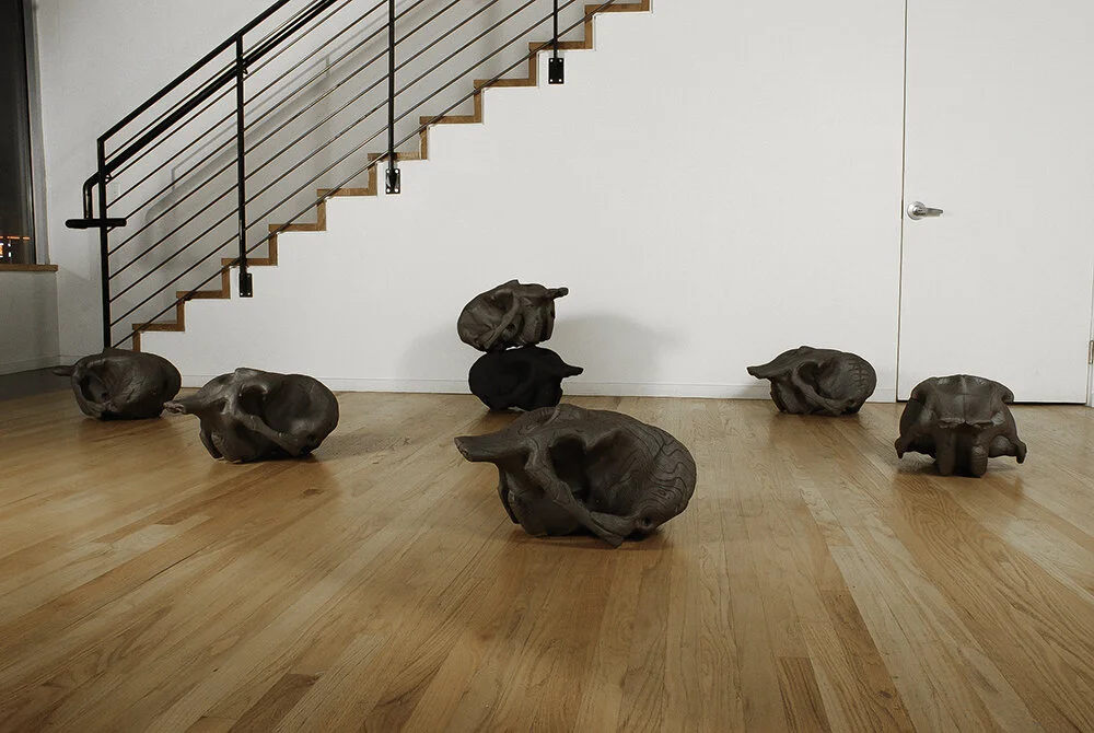  Elephas maximus (Asian Elephant)  ceramic   23” x 17” x 13” each (life size)  |  2009  Asian Elephants are a threatened species whose numbers have dwindled from habitat loss and fragmentation of their dense but dwindling forest habitat. About 20% of