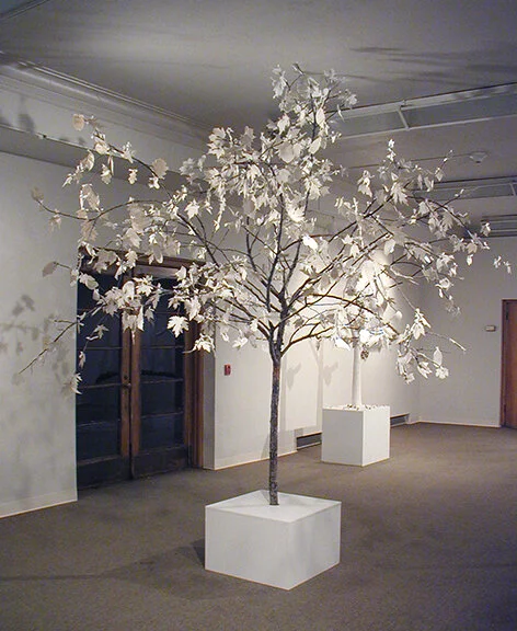  Arboreus stativus  porcelain, dead tree, cotton ties  12’ x 10’ x 10’  |  2004 