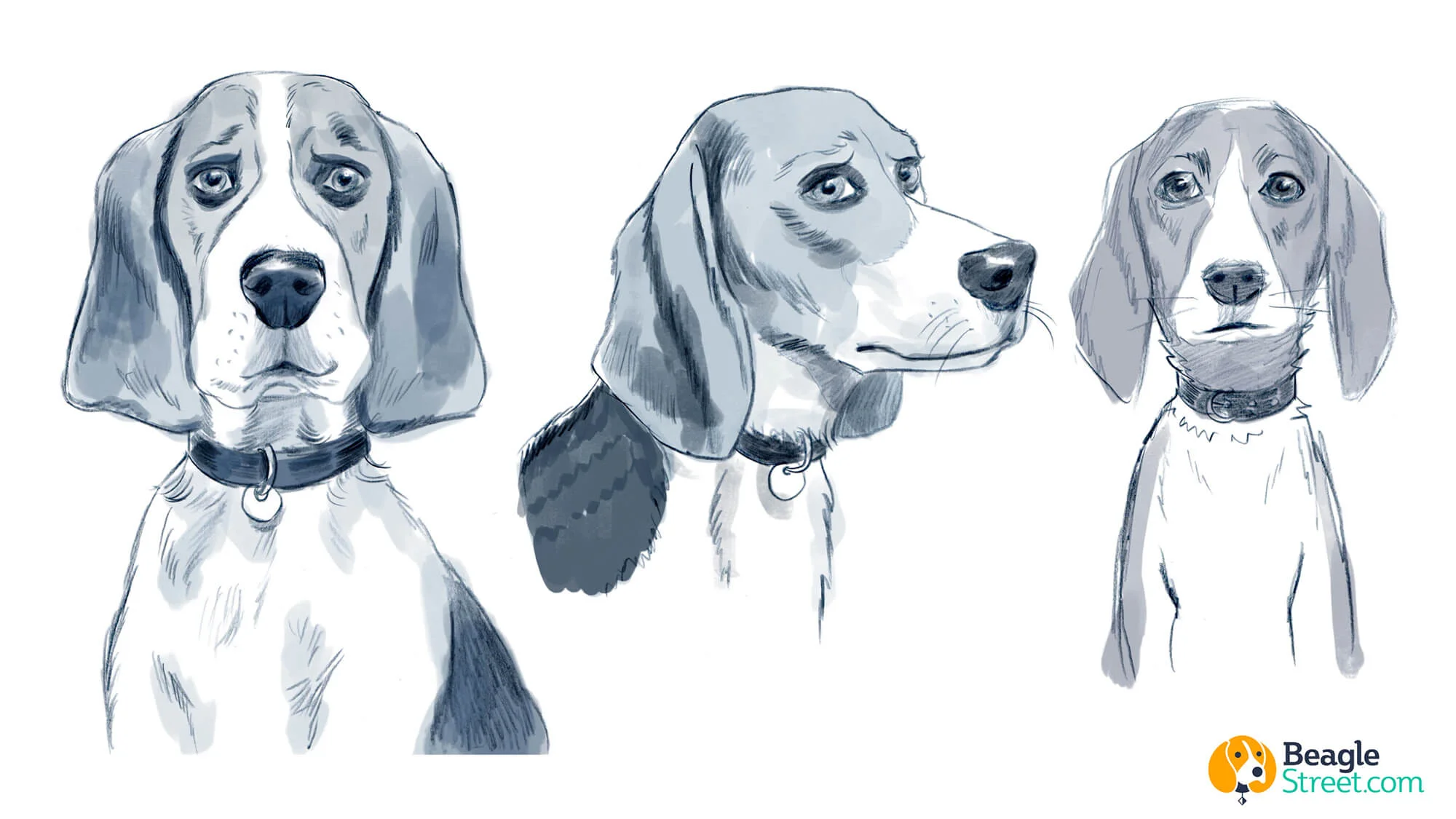 Beagle_Character_Design_3.jpg