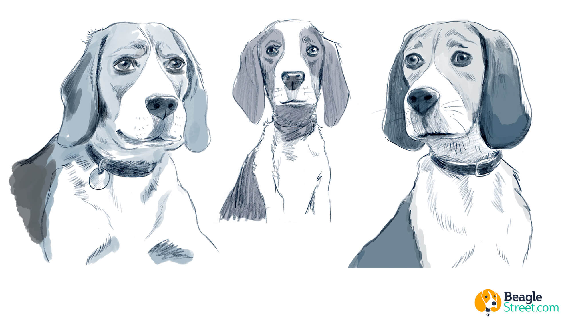 Beagle_Character_Design_4.jpg