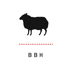 BBH_Agency_Logo.png