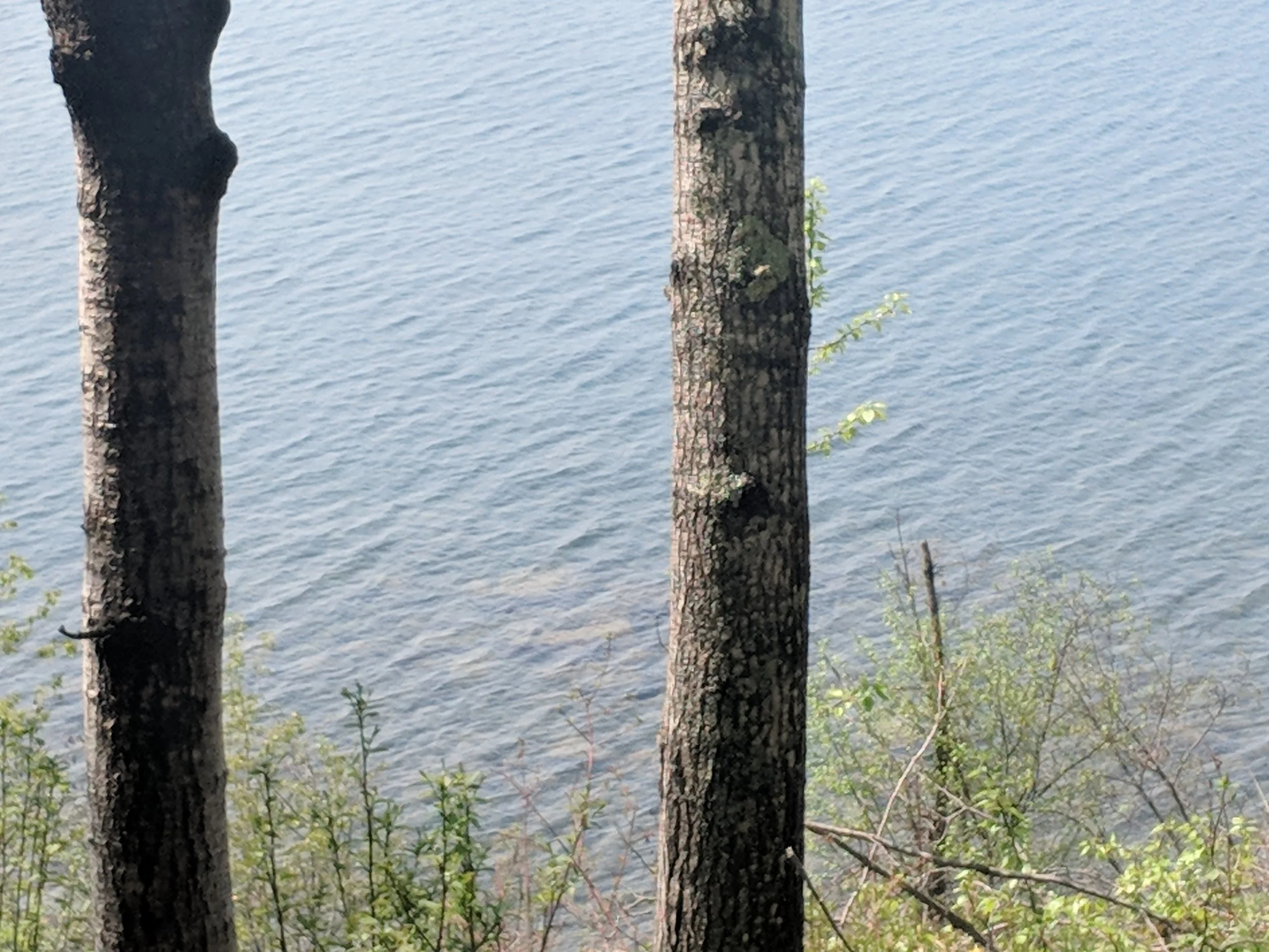 Lake Superior