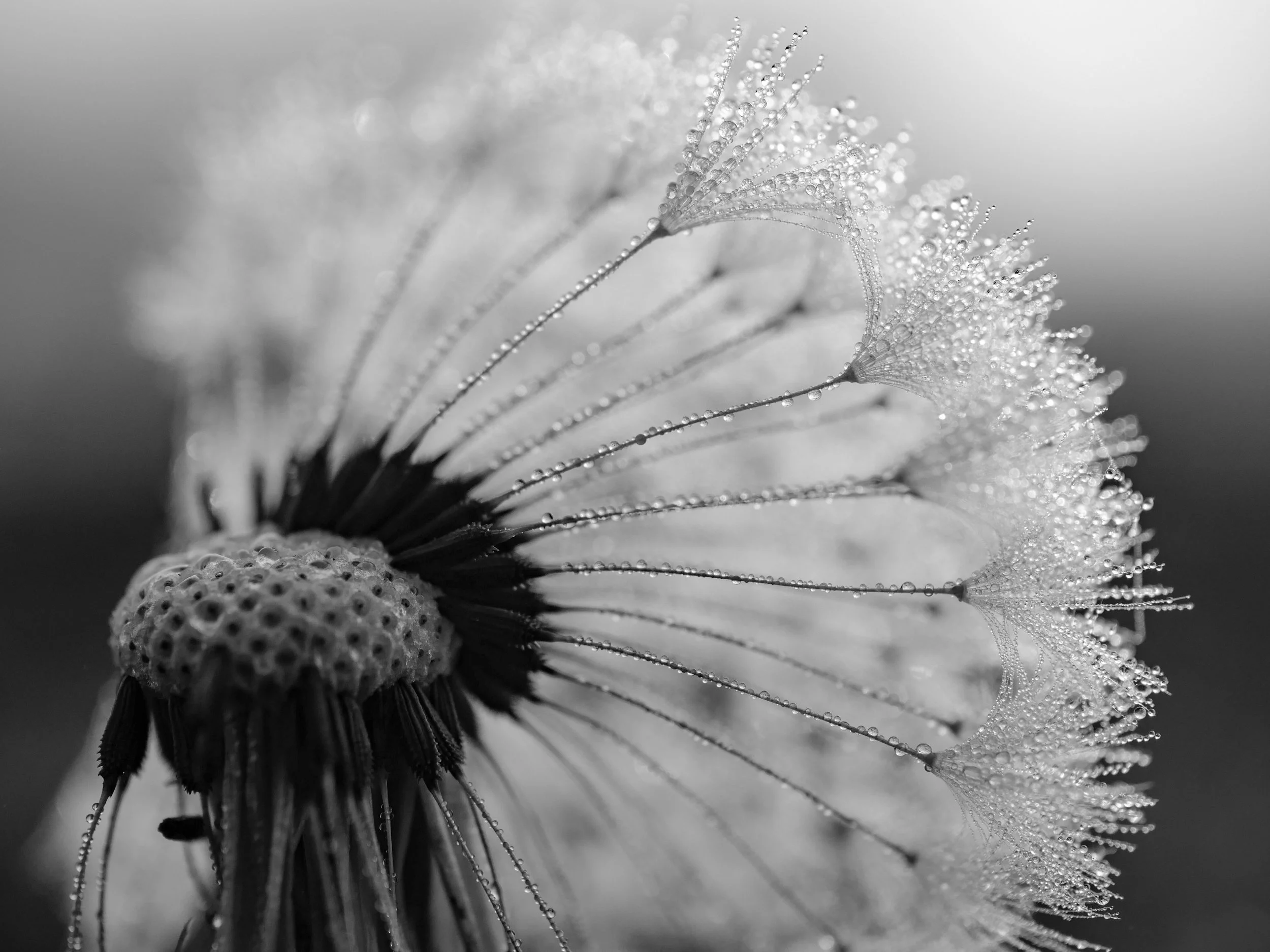 aaron-burden-678299-unsplash.jpg