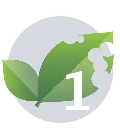 Icon_Foliar1.jpg
