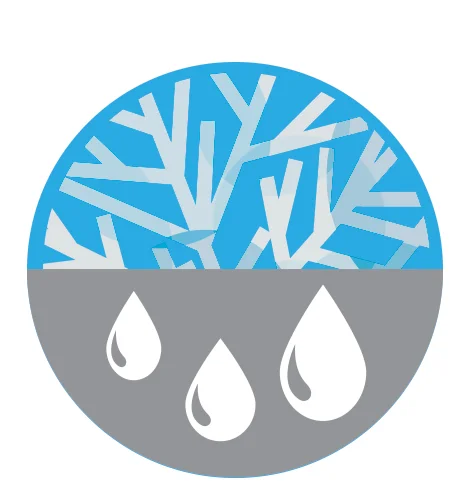 How to Prepare Your Trees and Plants for Winter — Boston Tree Preservation