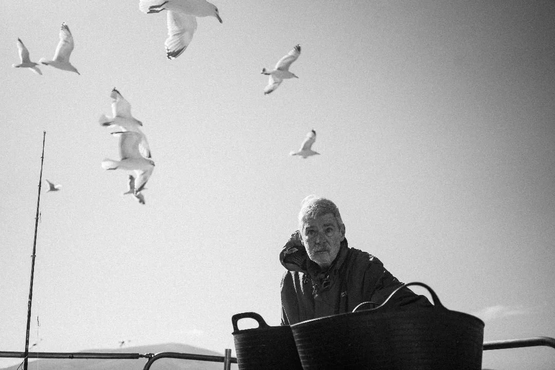 Paddy, Dingle 2024.

#kerry #fisherman #fishing #wildatlanticway #ireland