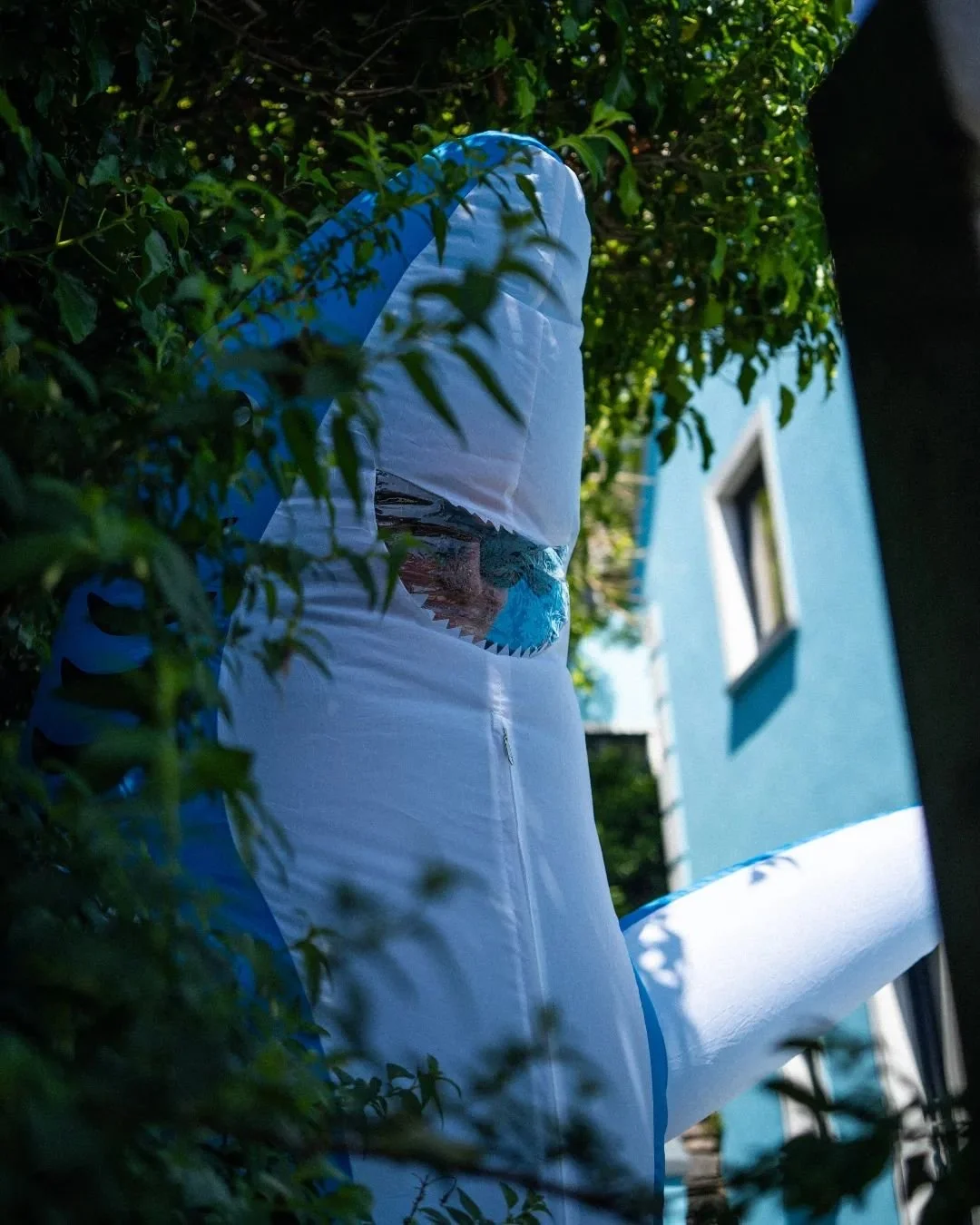 Sharkin about drinkin pints!

@guinness send us some love!