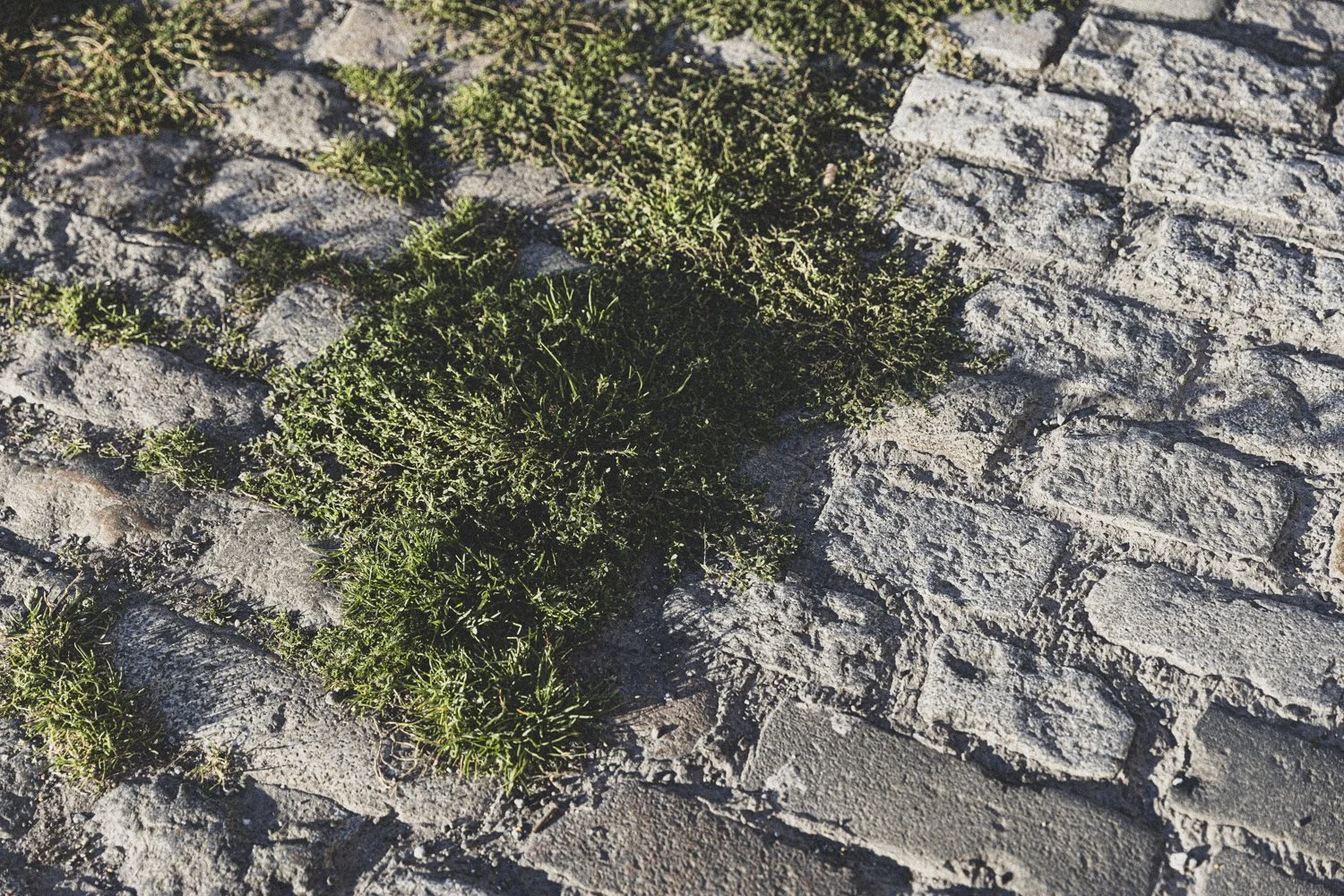 Details-1.jpg