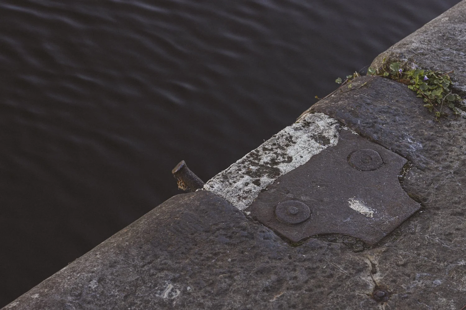 Details-9.jpg