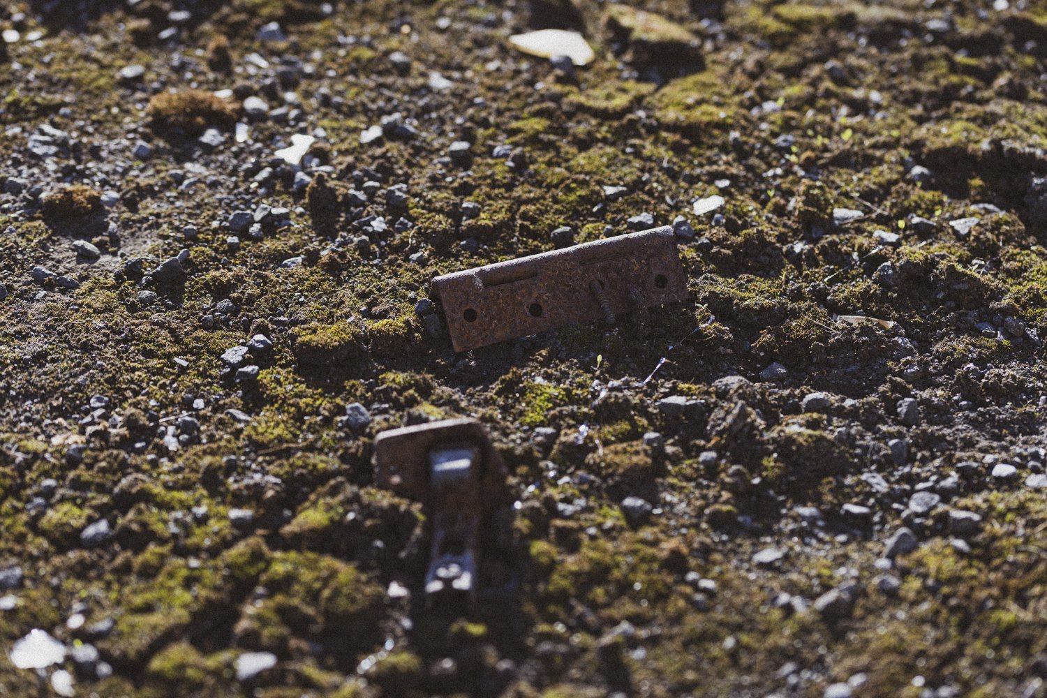 Details-14.jpg
