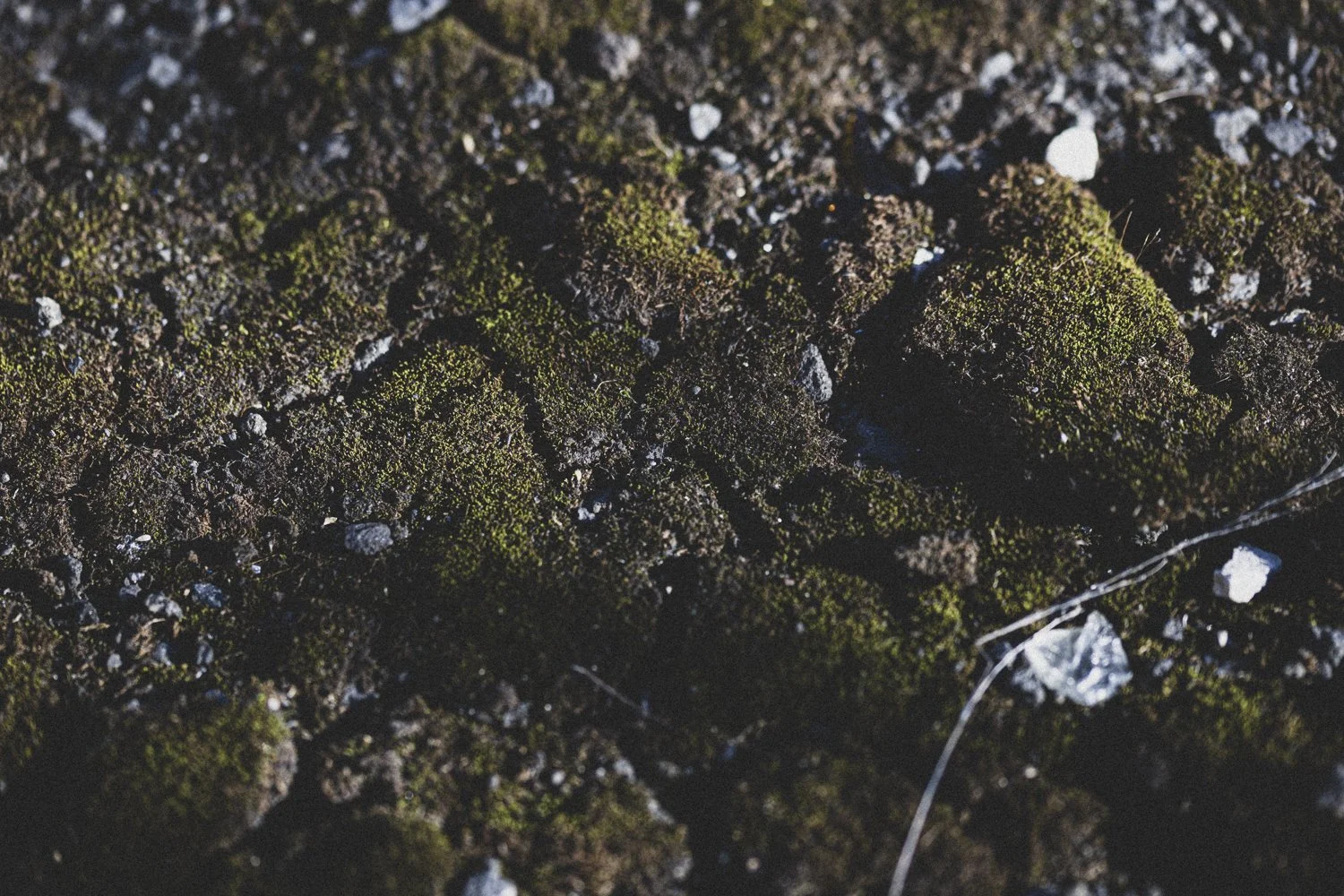 Details-16.jpg
