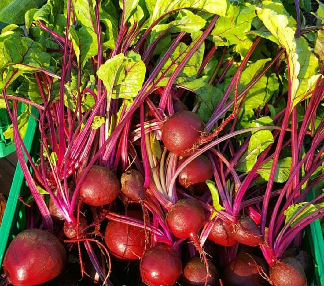 Beets