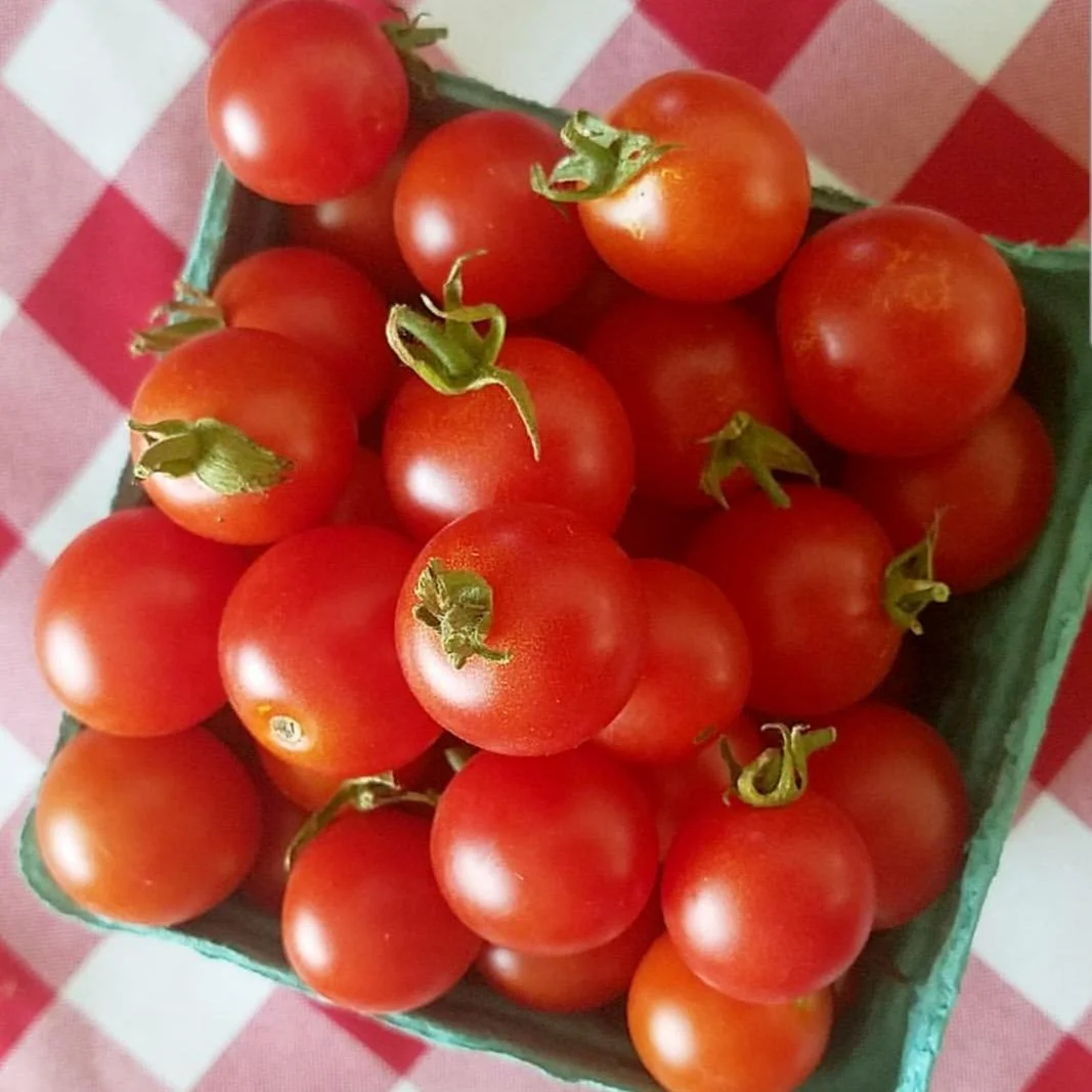 Cherry Tomatoes