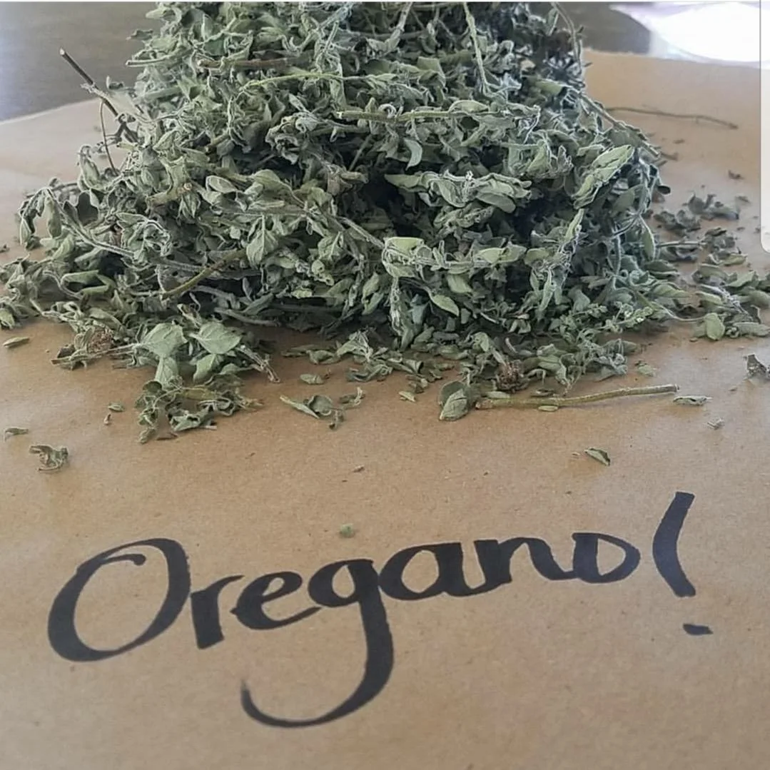 Dried Oregano