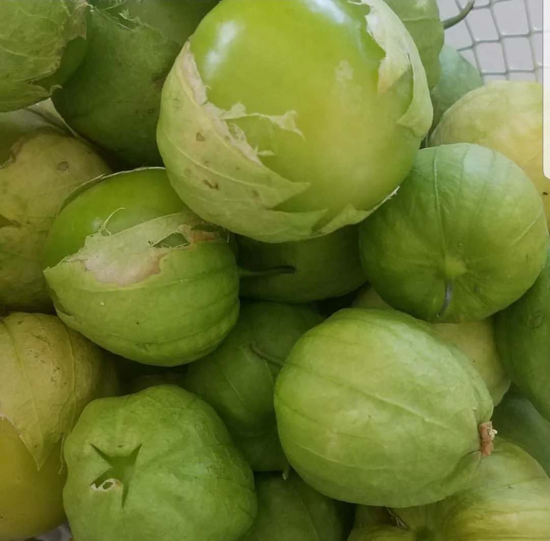 Tomatillos