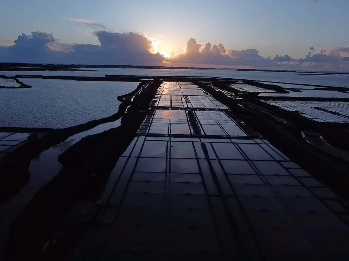 vue aérienne des marais salants de guerande