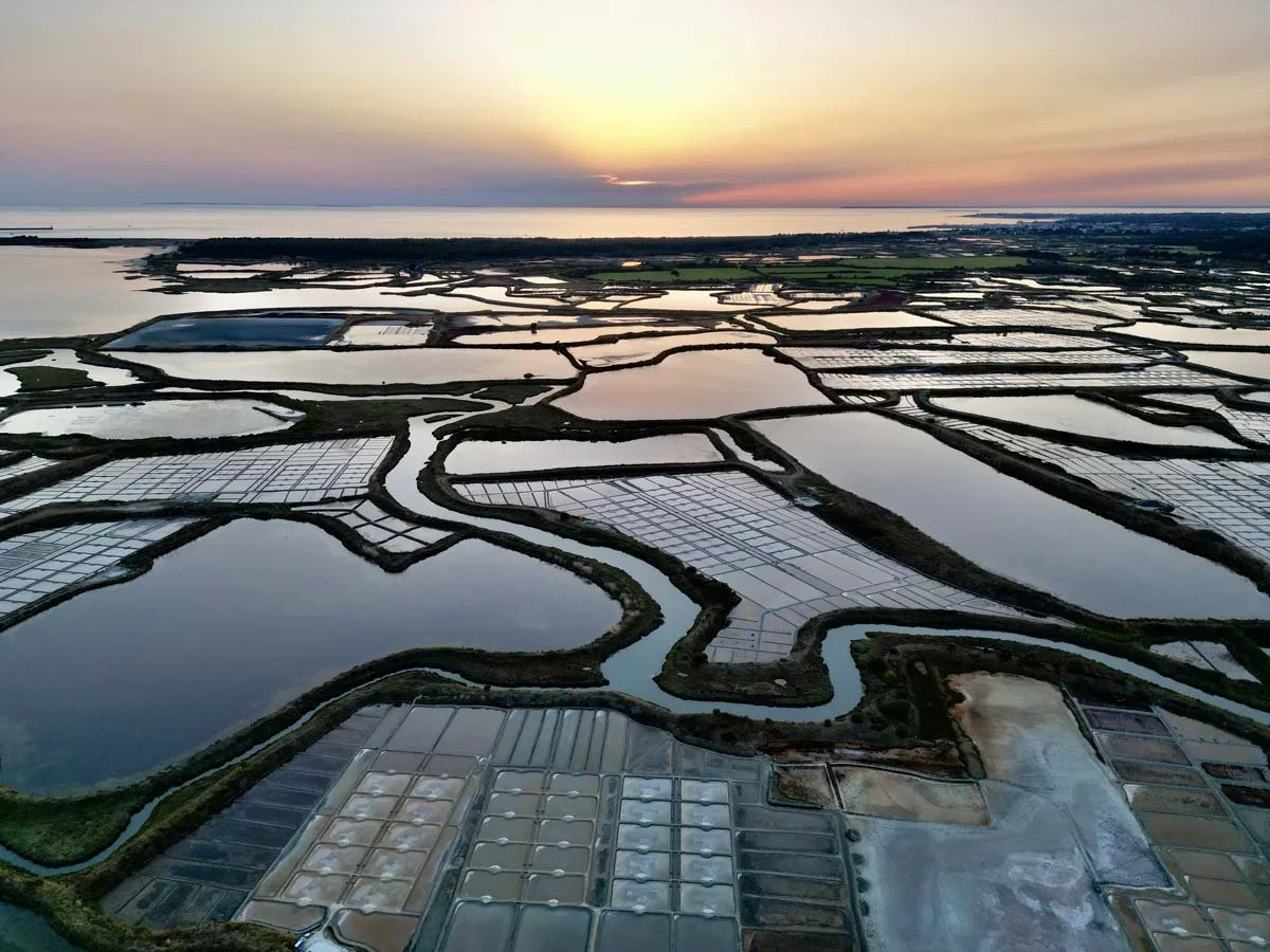 dji_fly_20250810_212400_362_1754854378494_photo (1).jpg