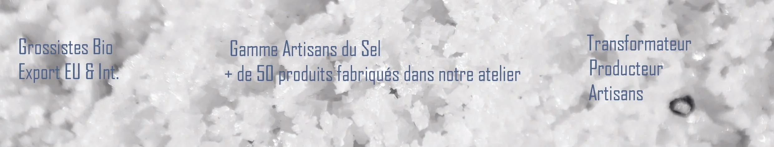 Frise site savoir faire.jpg