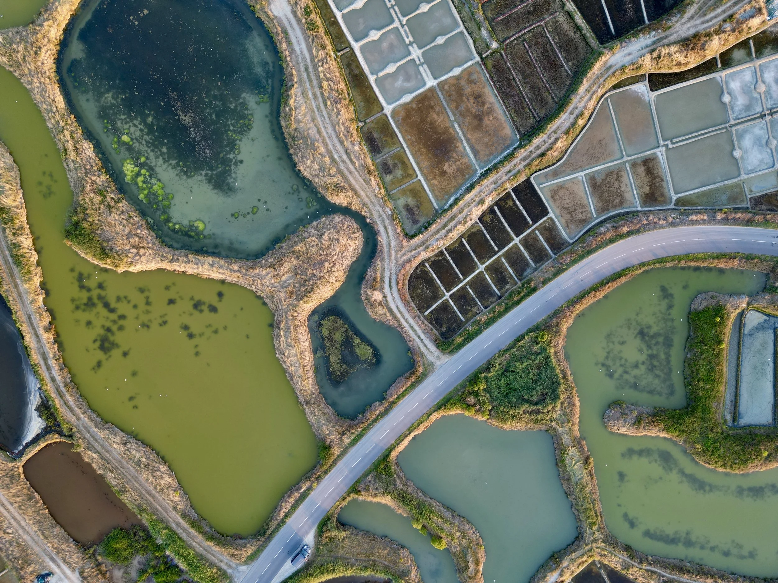 Pourquoi le sel de Guérande n’est pas un sel comme les autres