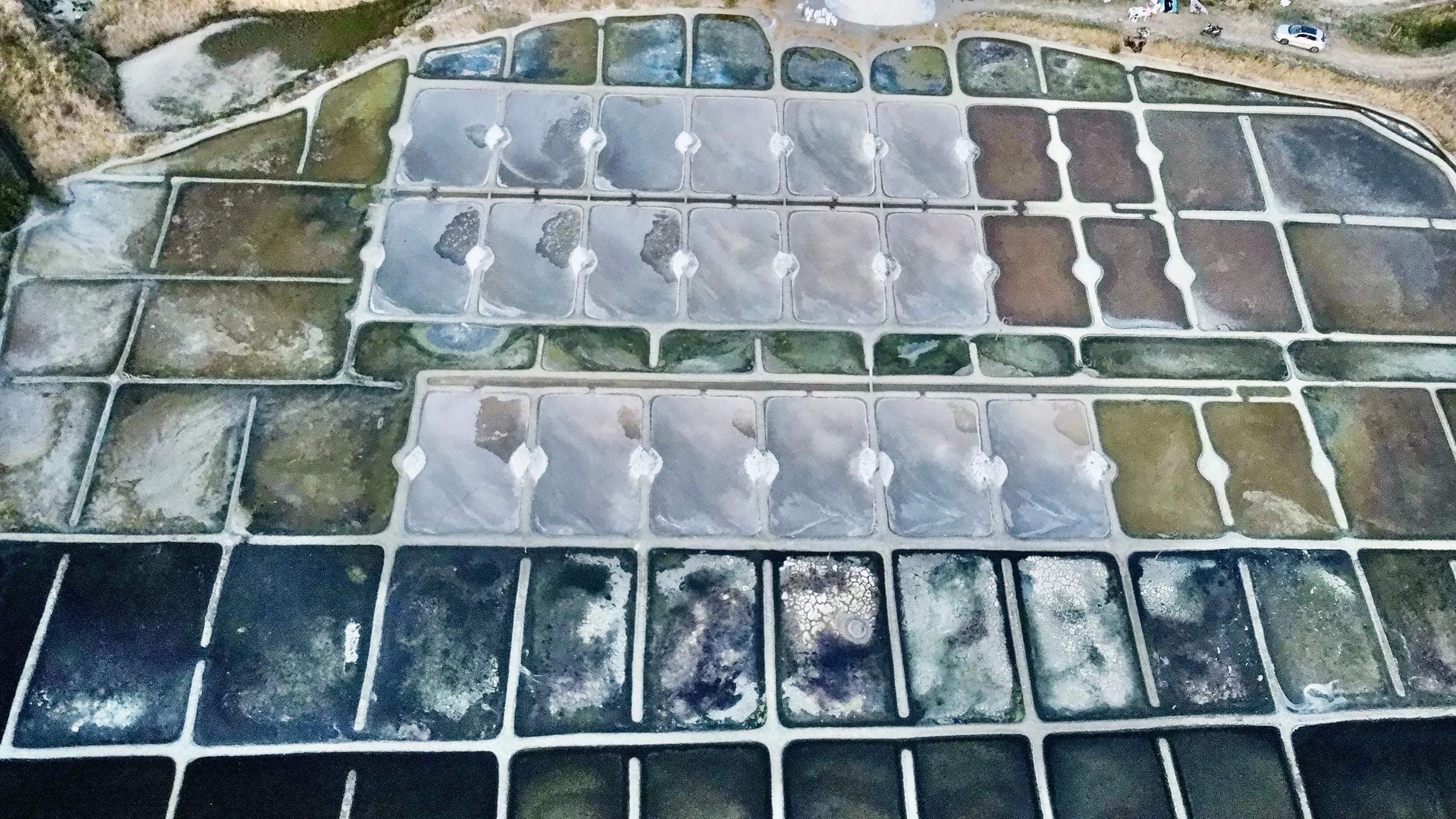 Sel et santé : ce que dit vraiment la science (et ce que l’on oublie souvent)