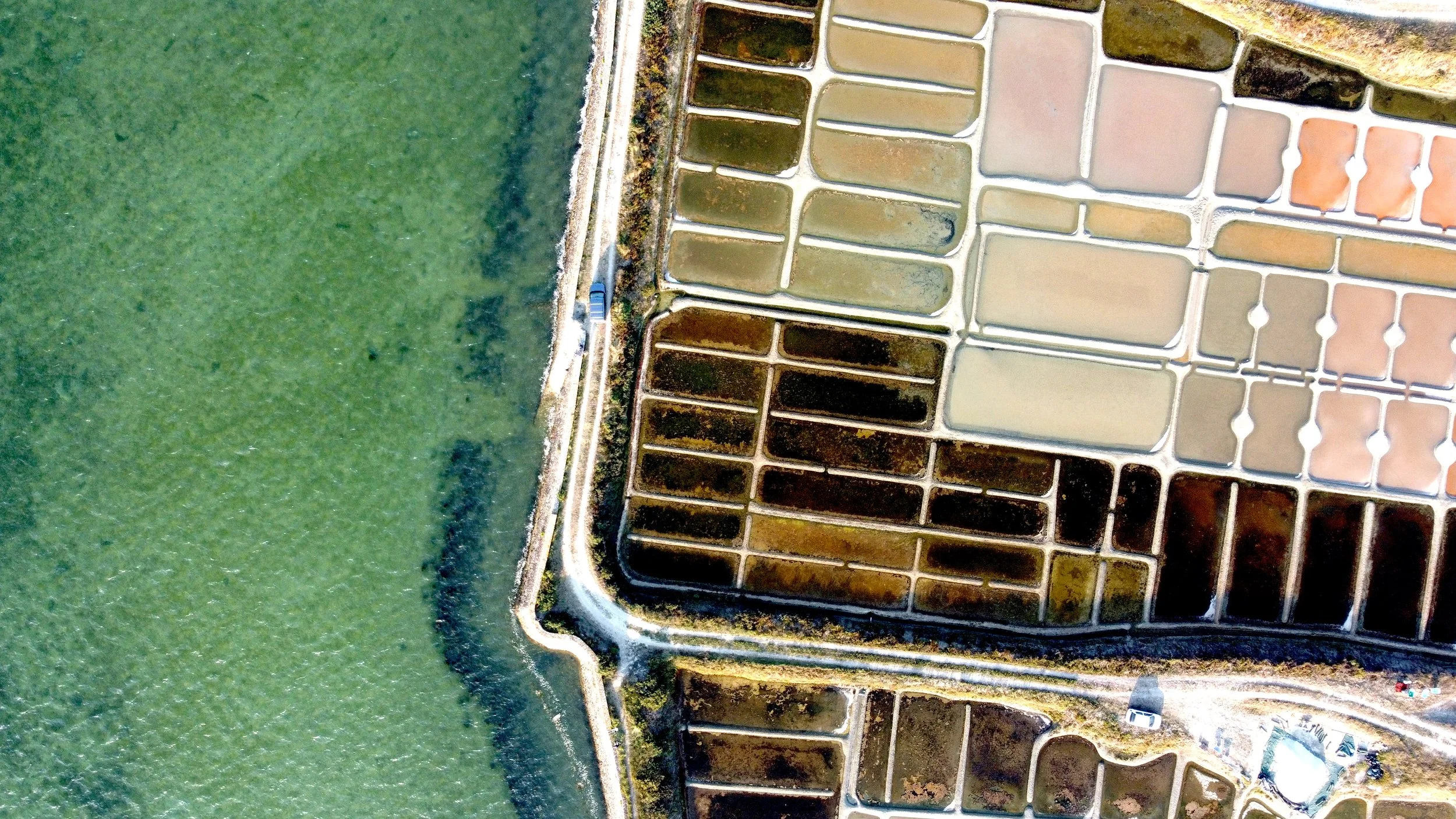 Sel de Guérande 6.jpg