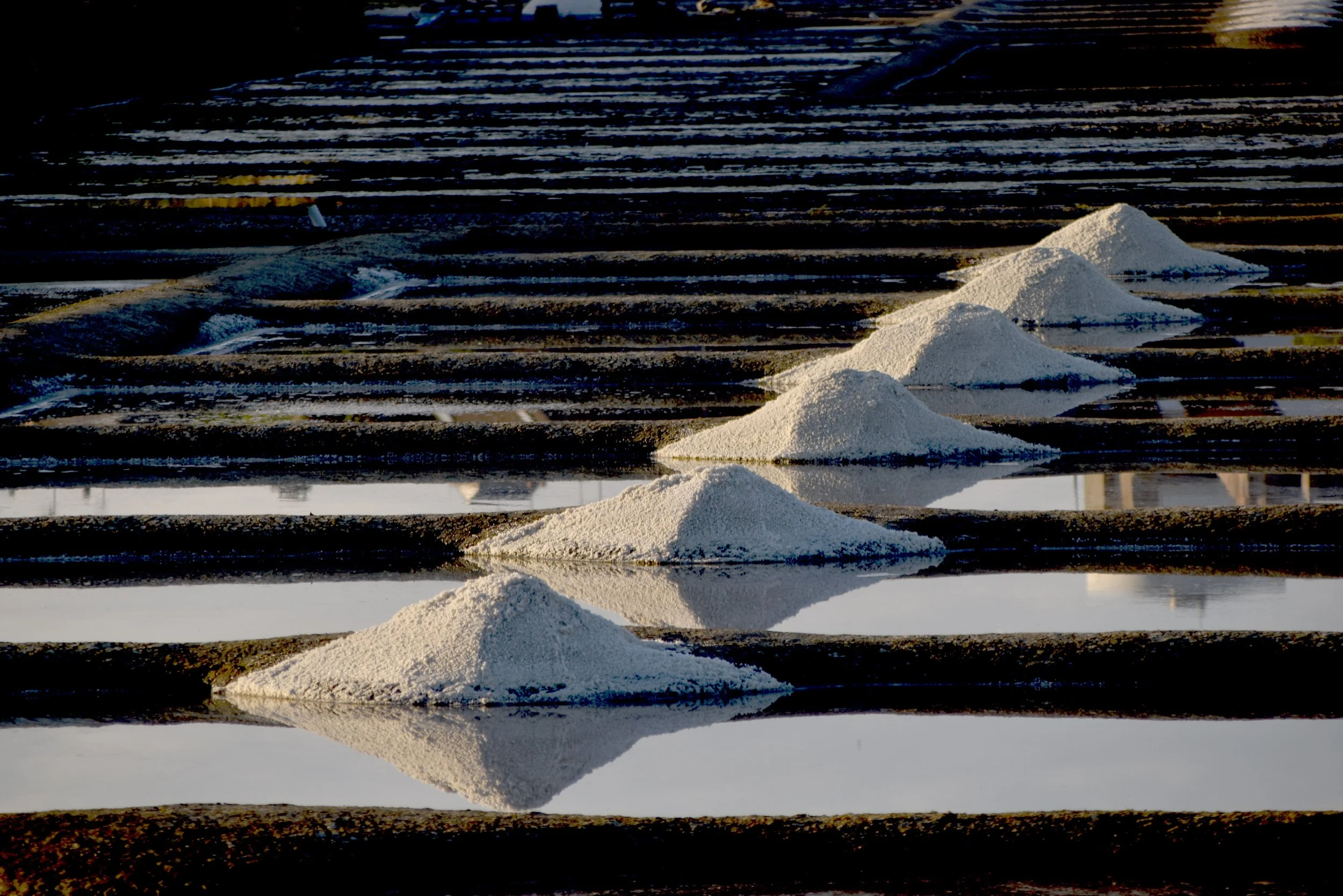 Sel de Guérande 23 - Copie.jpg