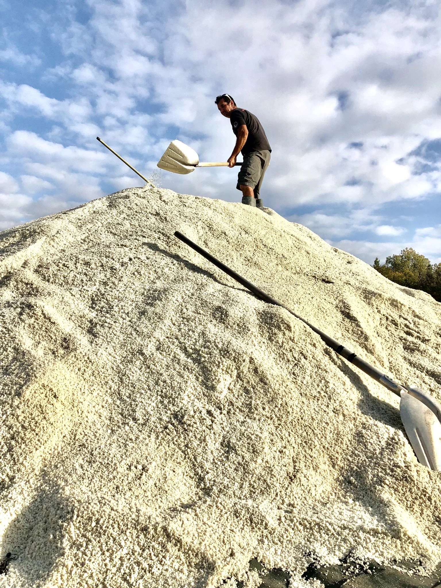 Comment est récolté le sel de Guérande ? (Guide complet des marais salants)