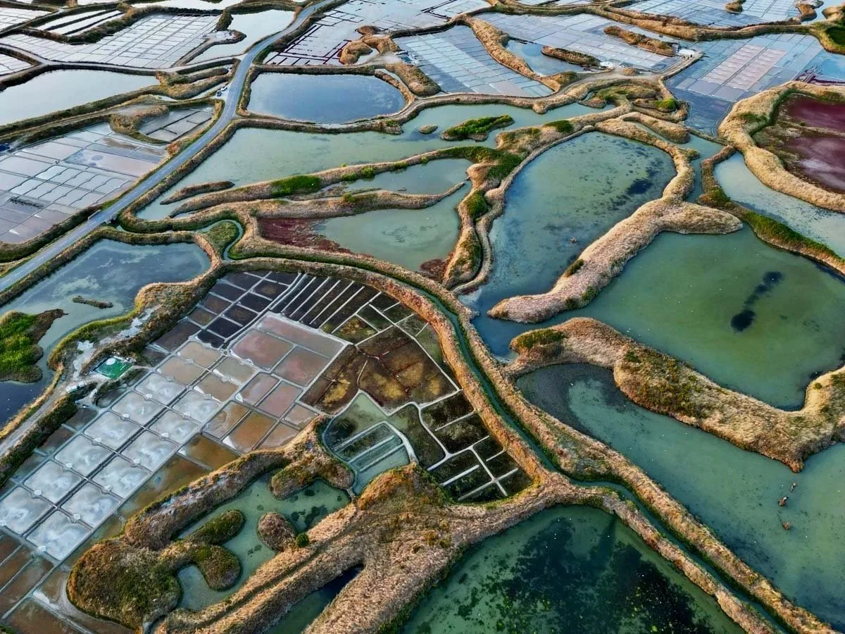 dji_fly_20250810_210826_327_1754854467381_photo.jpg