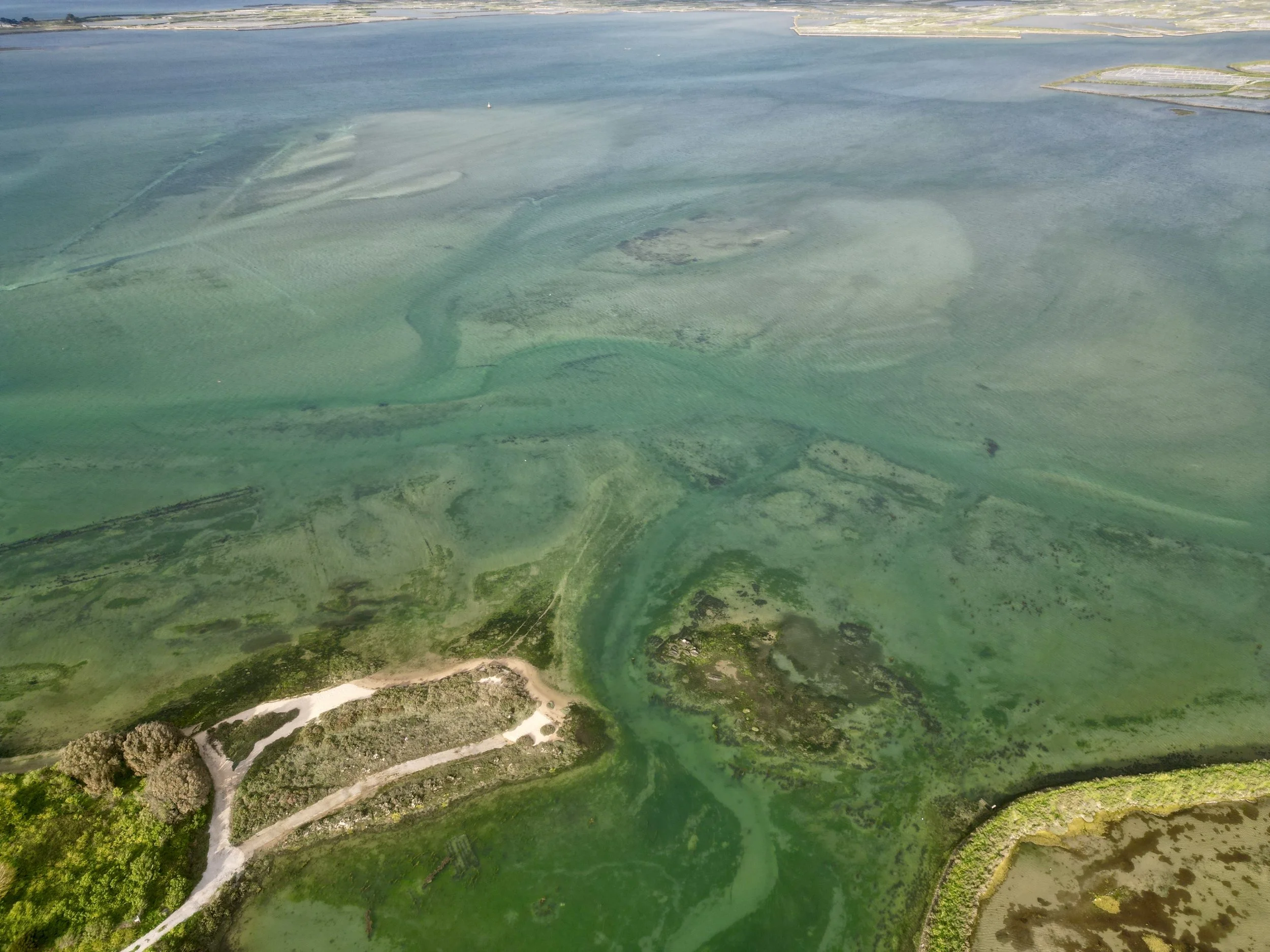 dji_fly_20240424_191000_11_1730792820987_photo.JPEG