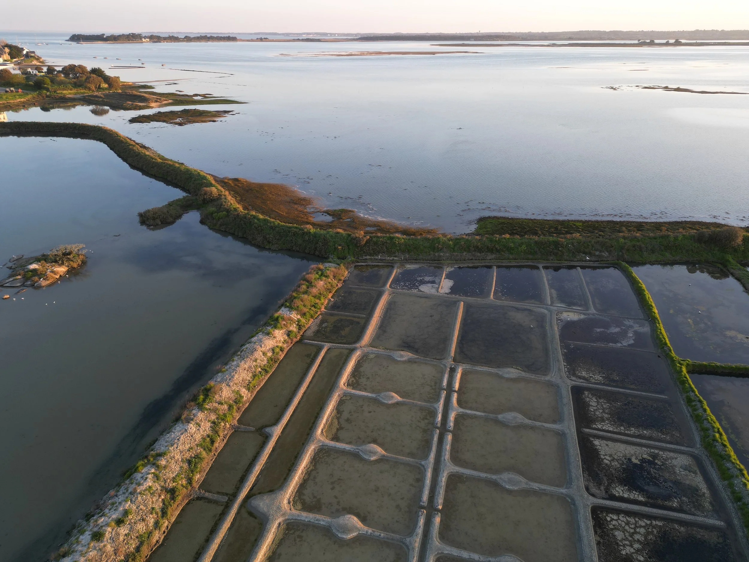 dji_fly_20260408_075508_498_1775653746138_photo.JPEG