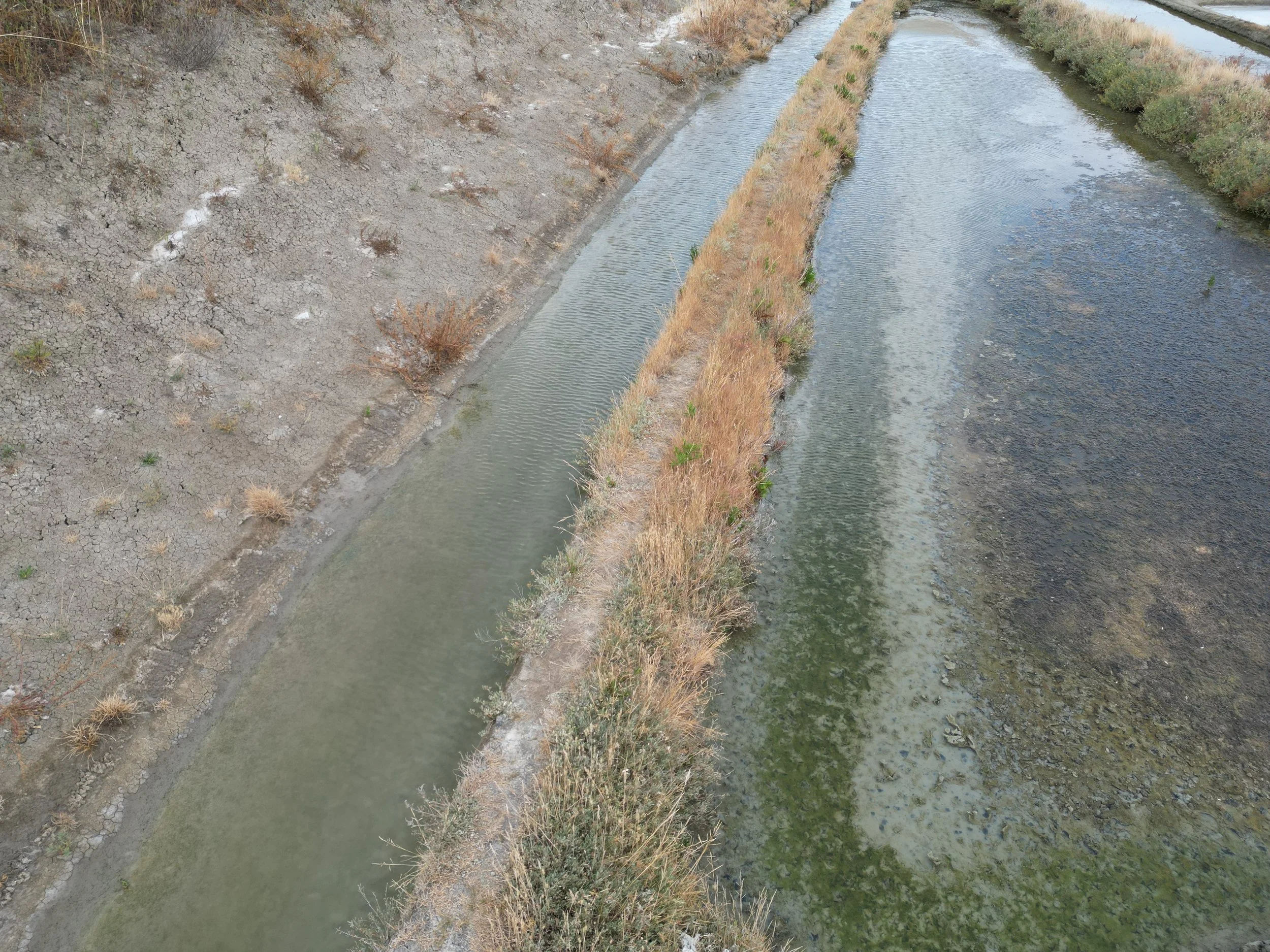 dji_fly_20250717_190808_234_1752772344915_photo.JPEG