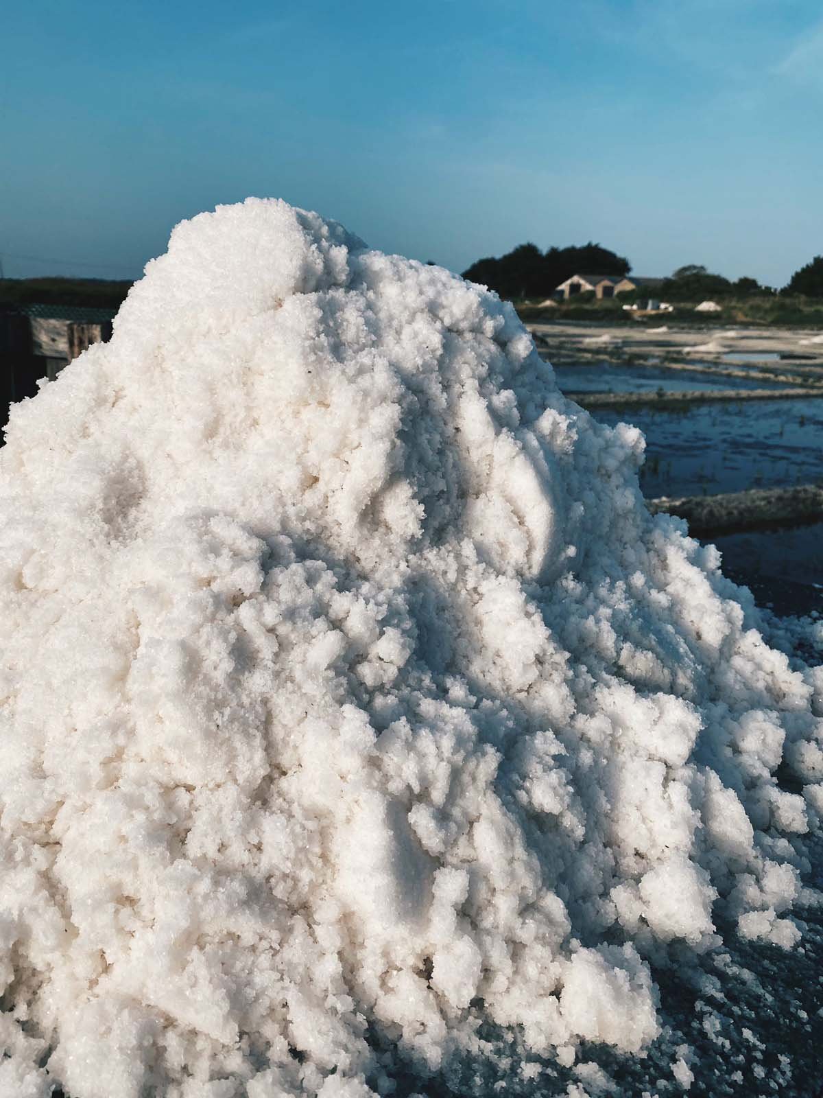 Fleur de sel de guérande