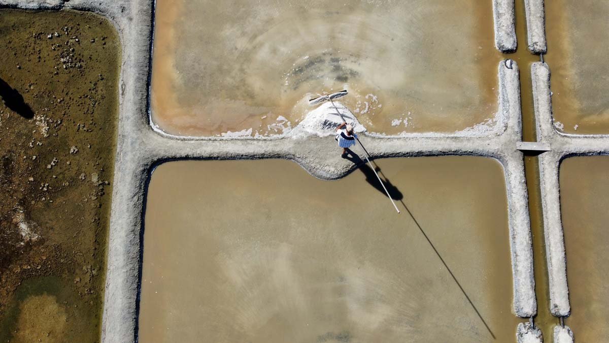 RemoteMediaFile_6554508_0_2022_07_12_18_10_40.jpg